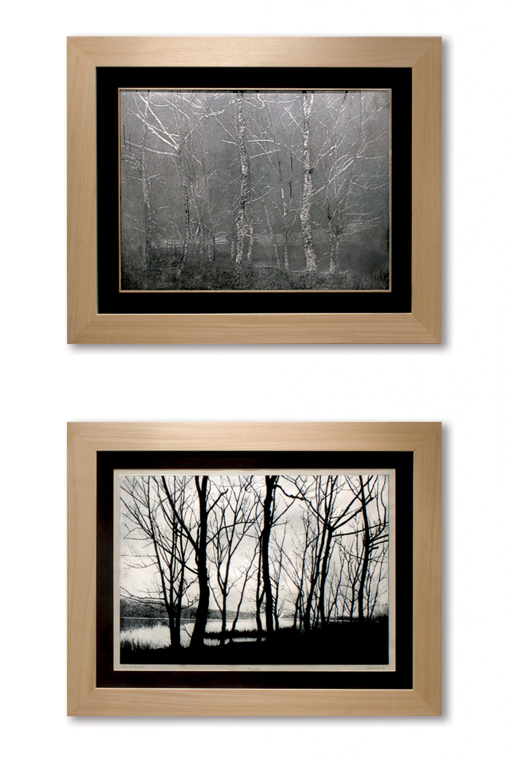 2012_Drisaldi-01