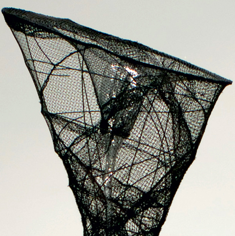 2012-crescenzi