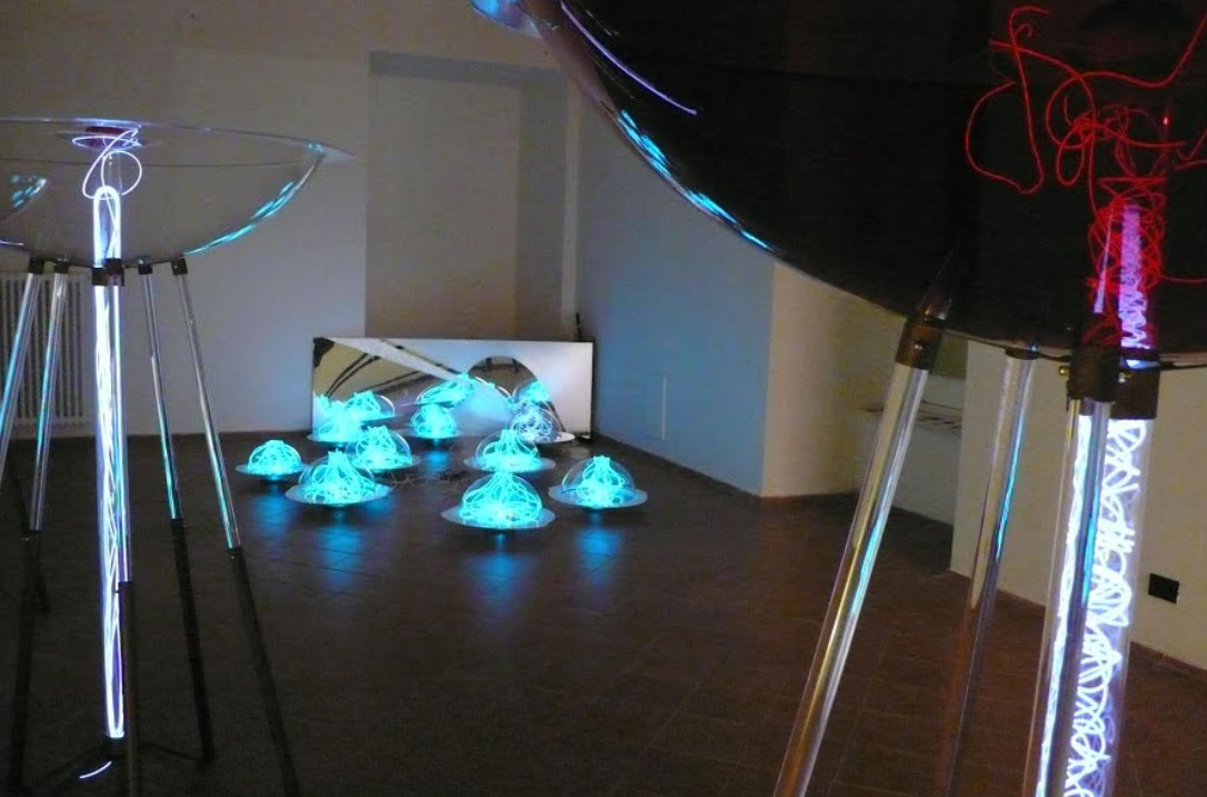 polipedi